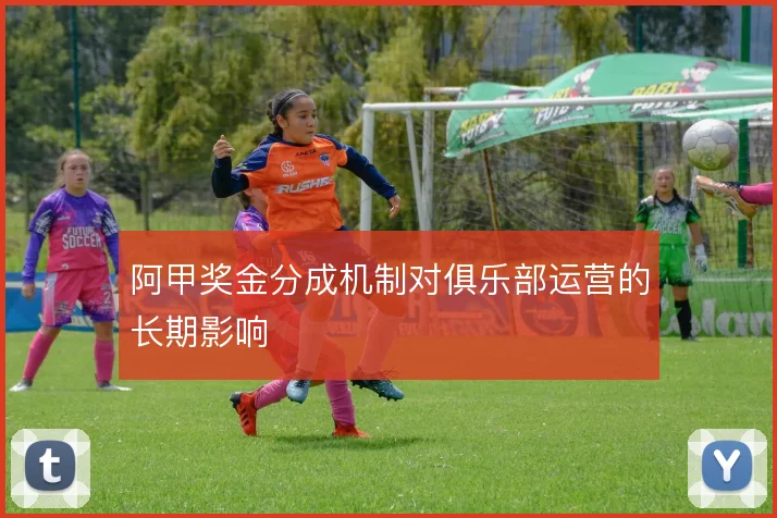 阿甲奖金分成机制对俱乐部运营的长期影响