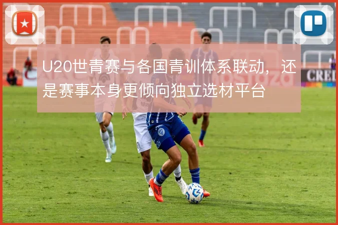 U20世青赛与各国青训体系联动，还是赛事本身更倾向独立选材平台